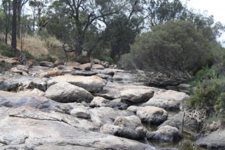 Mortlock River in the dry season in Goomalling, Western Australia